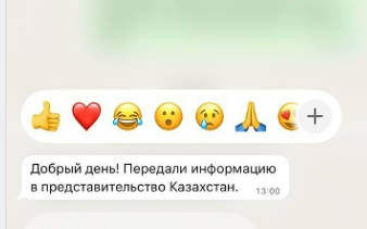 Карина Тетуева нашла адвоката для судебных разбирательств с Тиграном Салибековым