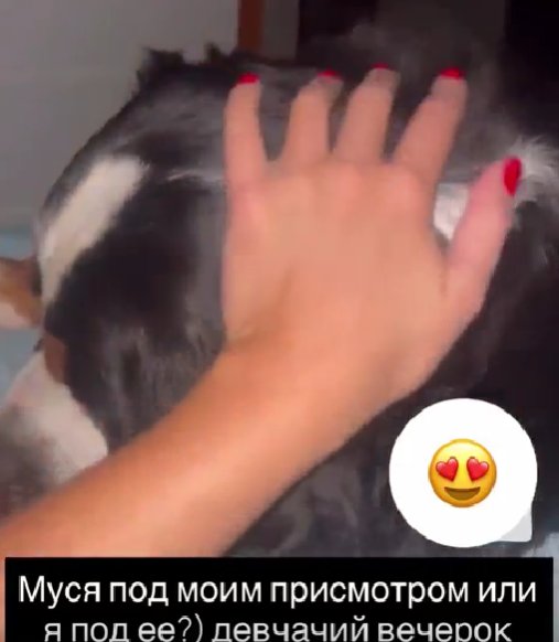 Надя Ермакова снова подбирается к Герасимову, балуя его собаку