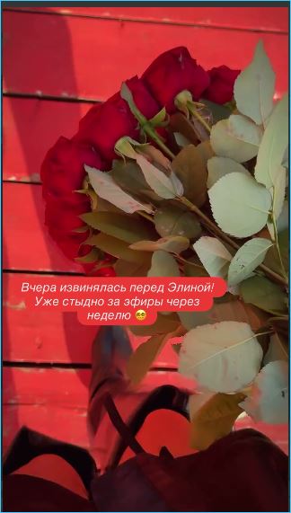 Анастасии Ромашовой пришлось извиняться перед Элиной Рахимовой