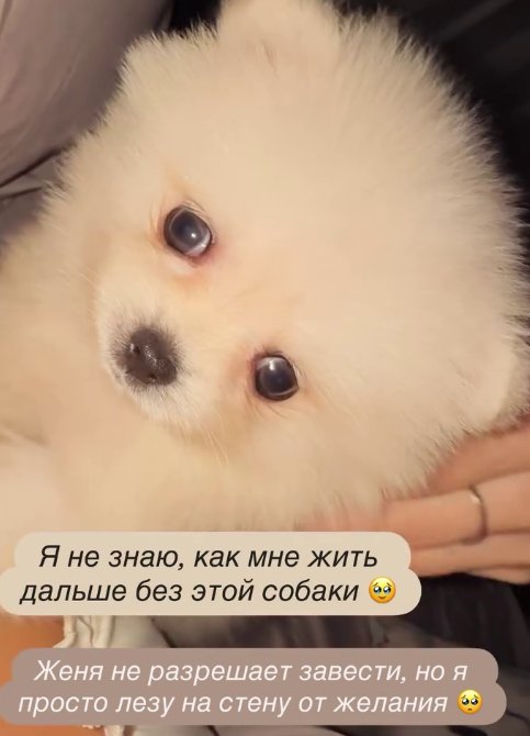 Последние новости Дом 2 на сегодня 19.09.26 – Виктория Салибекова обустраивает на Поляне уголок для дочки