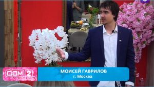как Не смог удержать Веронику Гракович от походов по ночным клубам Моисей Гаврилов