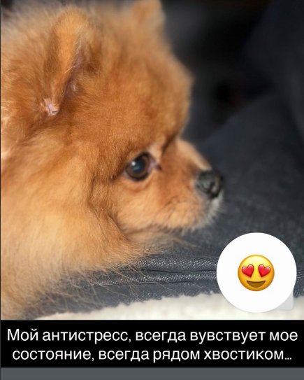 У Нади Ермаковой случилась новая неприятность