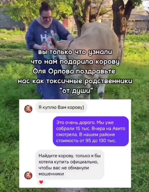 Подписчица Ольги Орловой получила от неё в подарок корову