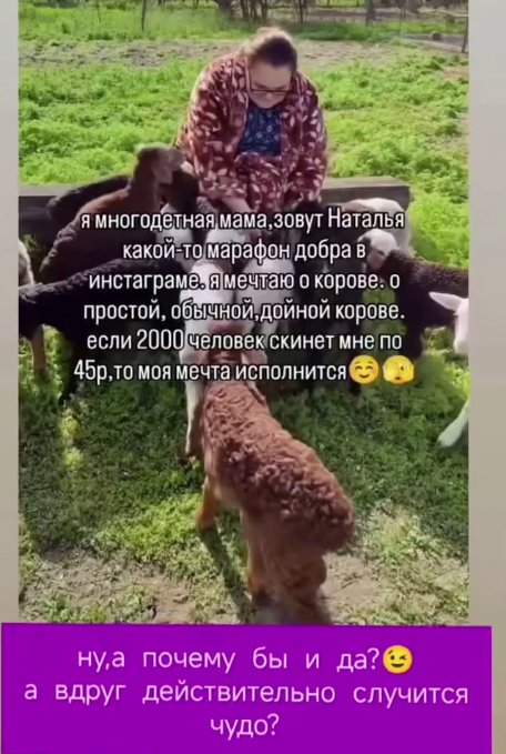 Подписчица Ольги Орловой получила от неё в подарок корову